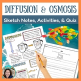 Diffusion and Osmosis Sketch Notes, Activities, & Slideshow