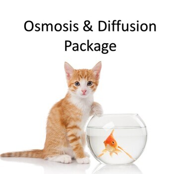 Preview of Diffusion & Osmosis Package