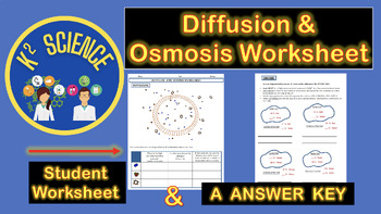 Preview of Diffusion & Osmosis Worksheet with Answer Key