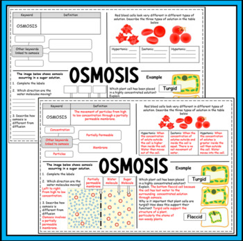 osmosis examples for kids