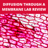 Diffusion Through a Membrane Review