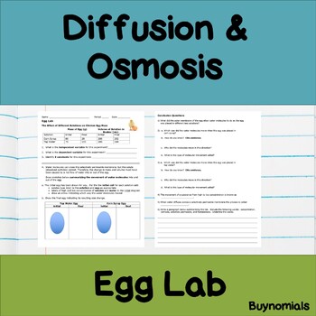 Diffusion and Osmosis Egg Lab by BuyNomials | Teachers Pay ...