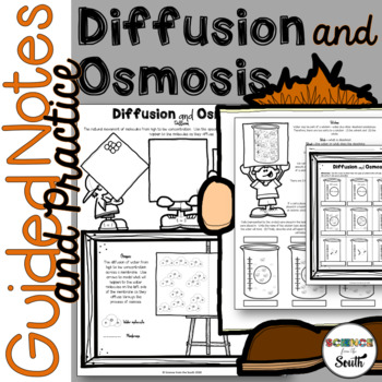 Preview of Diffusion and Osmosis Guided Notes and Practice