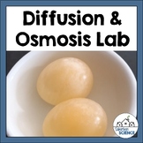 Osmosis Diffusion Inquiry Lab