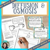 Diffusion and Osmosis Science Sketch Notes, Gummy Worm Act