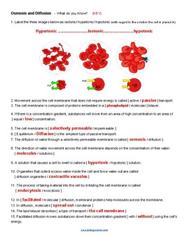 Diffusion and Osmosis What Do You Know ? (KEY) by Biologycorner
