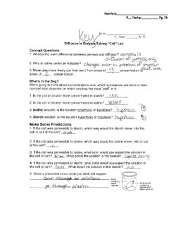 Diffusion in Dialysis Tubing Lab Student Worksheet by Mrs ...