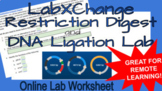 Digest, Ligate, and Evaluate Plasmids (LabXChange) Simulat