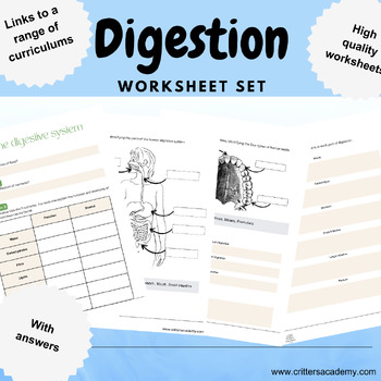 Preview of Digestion biology activities worksheets label questions booklet mouth