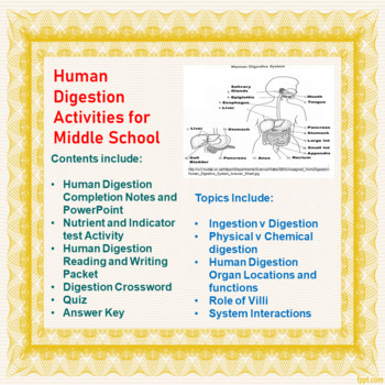 Preview of Digestion Learning Activities for Middle School Science (Distance Learning)
