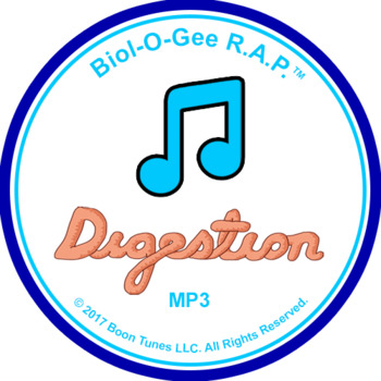 Preview of Digestive System Song: Mp3 - Biol-O-Gee R.A.P.