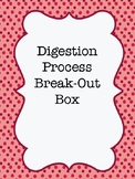 Digestion Process Break-Out Box Activity Worksheet