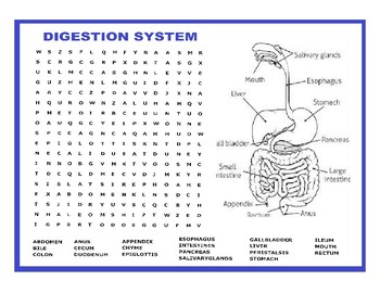 Preview of Digestion System Word Search