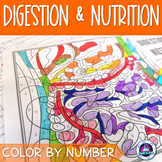 Digestion and Nutrition Review Activity | Color by Number