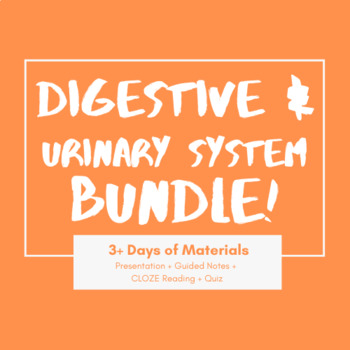 Preview of Digestive & Urinary Systems Bundle - PowerPoint, Guided Notes, CLOZE, Quiz