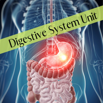 Digestive / Gastrointestinal System Unit by Education by Grizzle