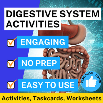 Preview of The Digestive System Resource Pack