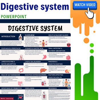 Preview of Digestive System: A Powerpoint Lecture Detailed Overview