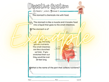 Preview of Digestive System Accommodated Unit Level 2 of 3 SPED differentiated
