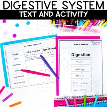 Preview of Digestive System Activities