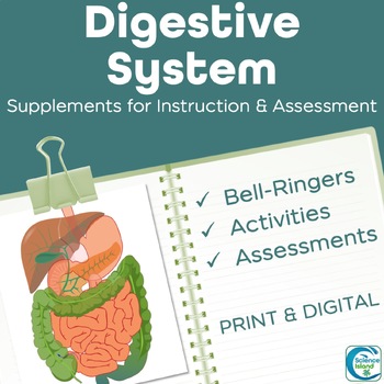 Preview of Digestive System Activities, Bell-Ringers, and Assessments for A&P