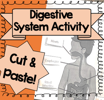 Preview of Digestive System Activity {Cut & Paste!}