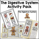 Digestive System Activity Bundle Human Body Activities