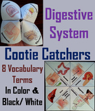 Digestive System Activity: Human Body Systems Cootie Catch