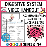 Digestive System Amoeba Sisters Video Handout