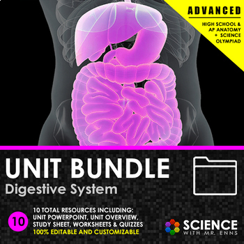 Preview of Digestive System Anatomy Unit - Nutrients, Organs, Enzymes, Digestion Processes