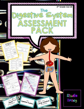 Preview of Digestive System Assessment BUNDLE