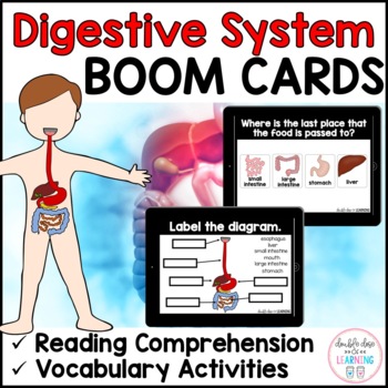 Preview of Digestive System - BOOM CARDS™ for Distance Learning