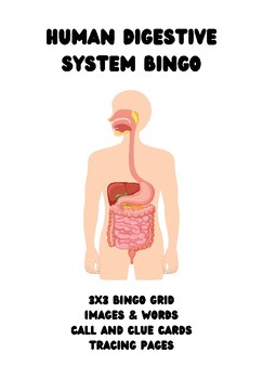 Preview of Digestive System Bingo - Words Images Tracing Call & Clue Cards - 10 Cards