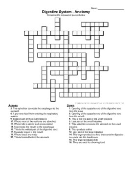 Preview of Digestive System Biology Crossword Puzzle- No Answers
