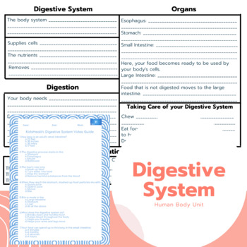 Preview of Digestive System Bundle