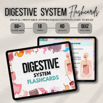 Preview of Digestive System Bundle with Flashcards, SVG’s, Quiz or Sticker | Human Body Stu
