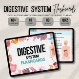 Digestive System Bundle with Flashcards, SVG’s, Quiz or St