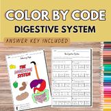 Digestive System COLOR BY CODE