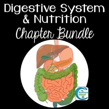 Preview of Digestive System Chapter Bundle for Anatomy and Physiology