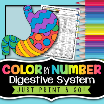 Preview of Digestive System Color by Number - Science Color By Number
