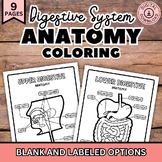 Digestive System Coloring Pages, Biology Science Activity 