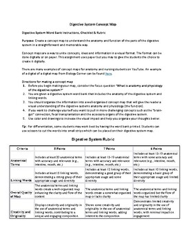 Preview of Digestive System Concept Map for Anatomy and Physiology