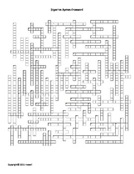 Digestive System Crossword by Everything Science and Beyond TPT