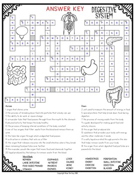 Digestive System Crossword by Bow Tie Guy and Wife TPT