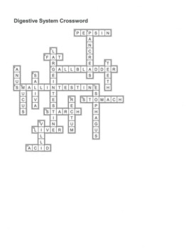 Digestive System Crossword Puzzle by BC Science Guy TpT