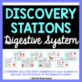 Digestive System Diagram and Discovery Stations