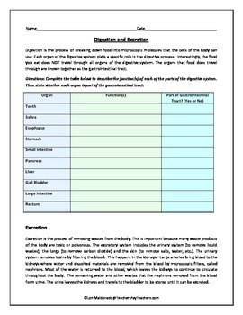 Preview of Digestive System: Digestion and Excretion Data Table