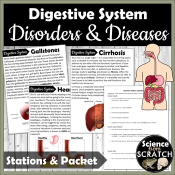 Preview of Digestive System Disorders and Diseases Stations
