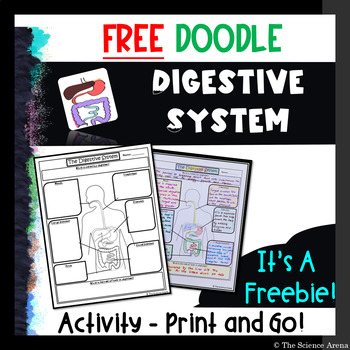 Preview of Digestive System Doodle FREE Print and Go Activity | Science Doodles