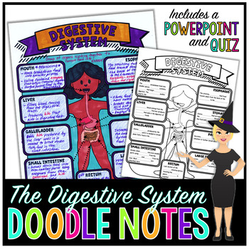 Preview of The Digestive System Doodle Notes | Science Doodle Notes